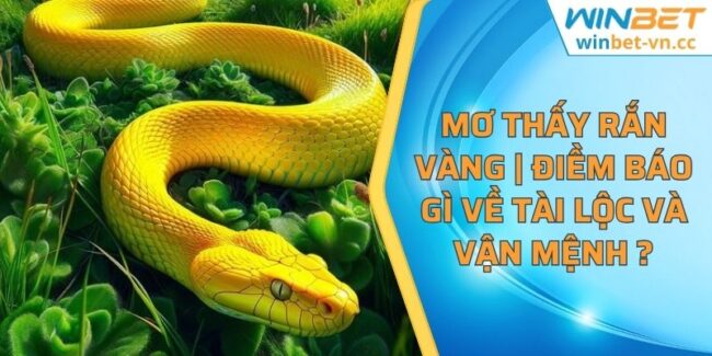 mơ thấy rắn vàng