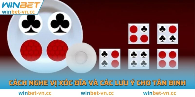 Cách nghe vị xóc đĩa và các lưu ý cho tân binh