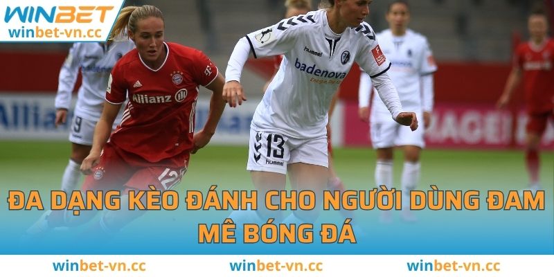 Cách Đọc Kèo Bóng Đá Dễ Dàng Nhất Cho Các Cược Thủ Đa dạng kèo đánh cho người dùng đam mê bóng đá