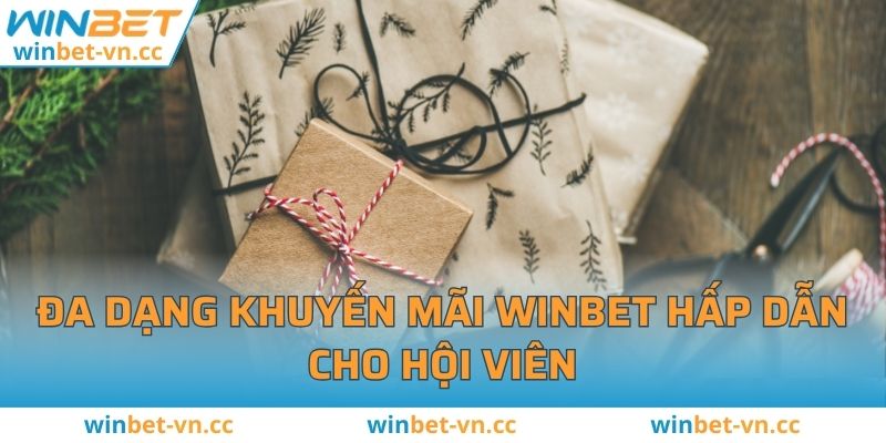 Đa dạng khuyến mãi WINBET hấp dẫn cho hội viên