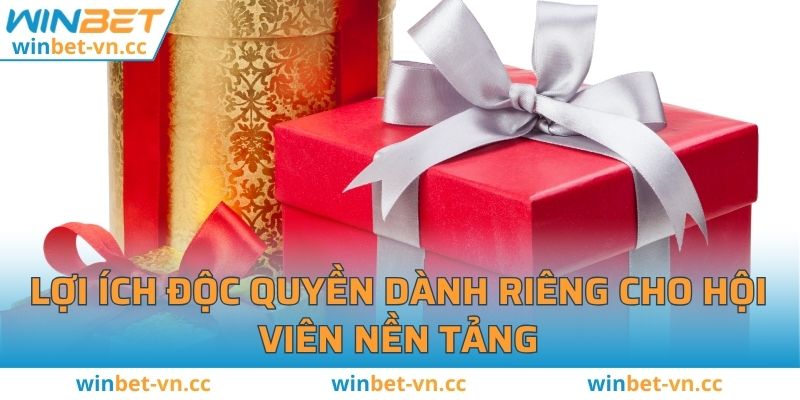 Tải App WINBET - Các Bước Chuẩn Chỉnh Nhất 2025 Cho Newbie Lợi ích độc quyền dành riêng cho hội viên nền tảng