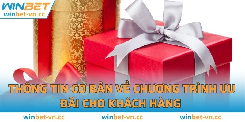 Thông tin cơ bản về chương trình ưu đãi cho khách hàng 