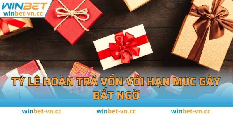 Tỷ lệ hoàn trả vốn với hạn mức gây bất ngờ